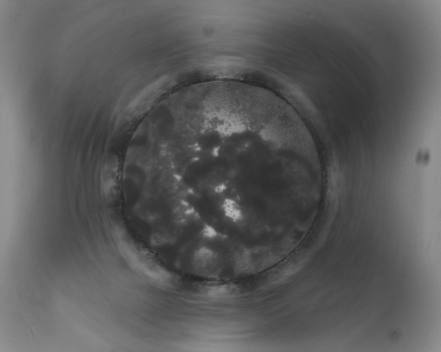 X0000111050073200906251443