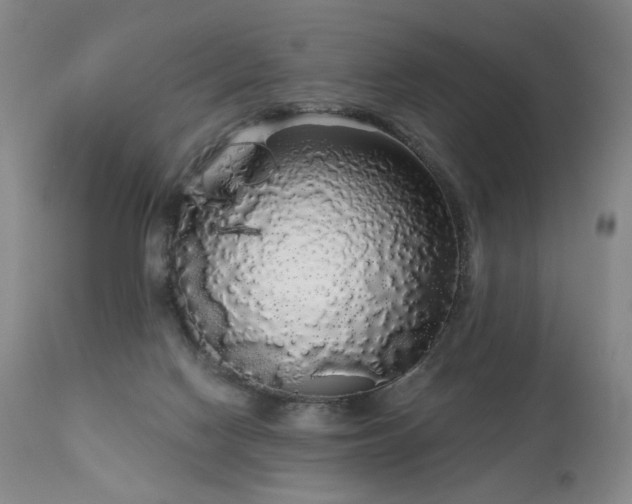 X0000111050074200906251443