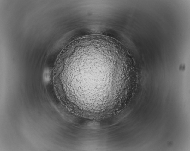 X0000111050075200906251443