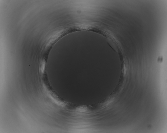 X0000111050076200906251443