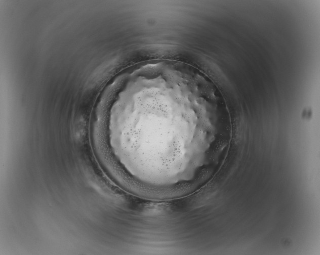 X0000111050077200906251443