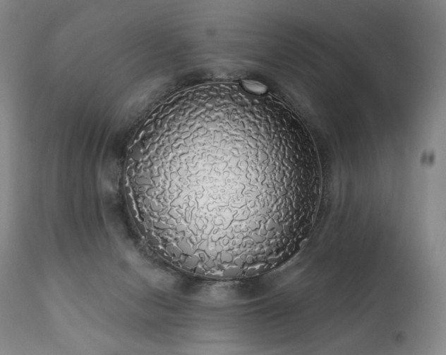 X0000111050078200906251443