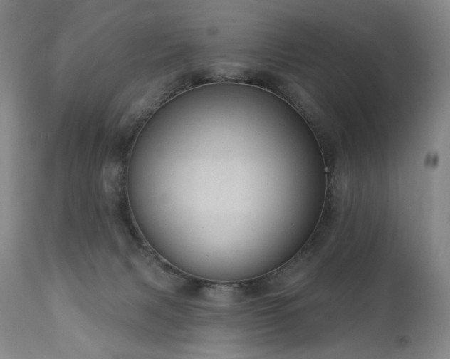 X0000111050079200906251443