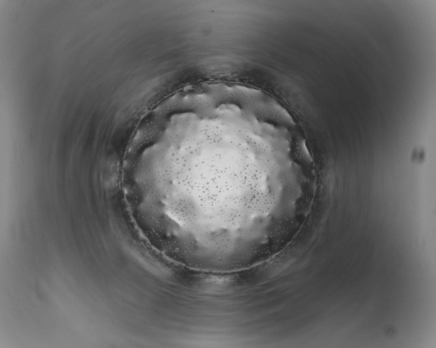 X0000111050081200906251443