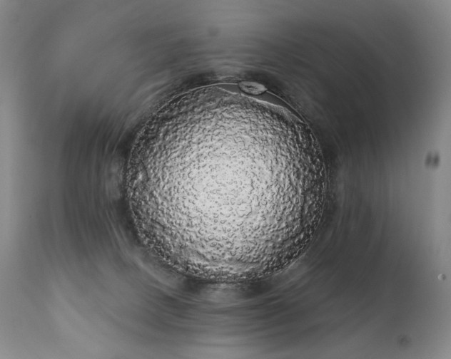 X0000111050082200906251443