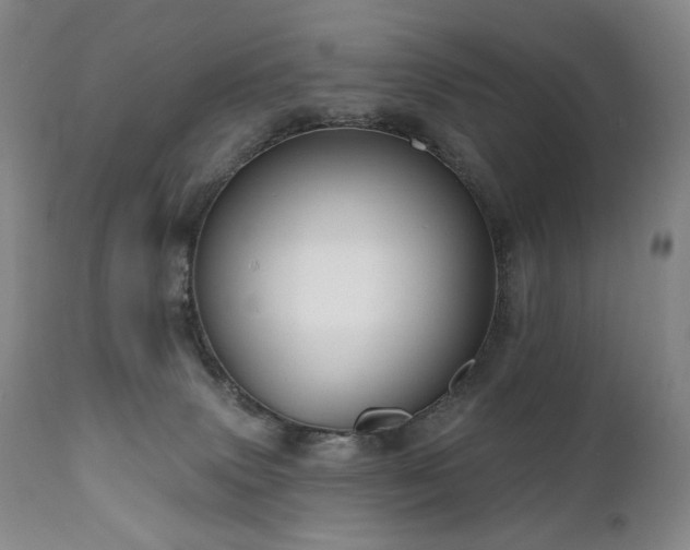 X0000111050083200906251443