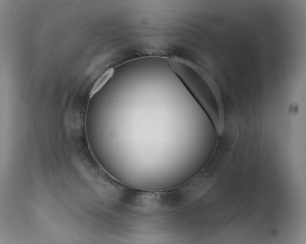 X0000111050084200906251443