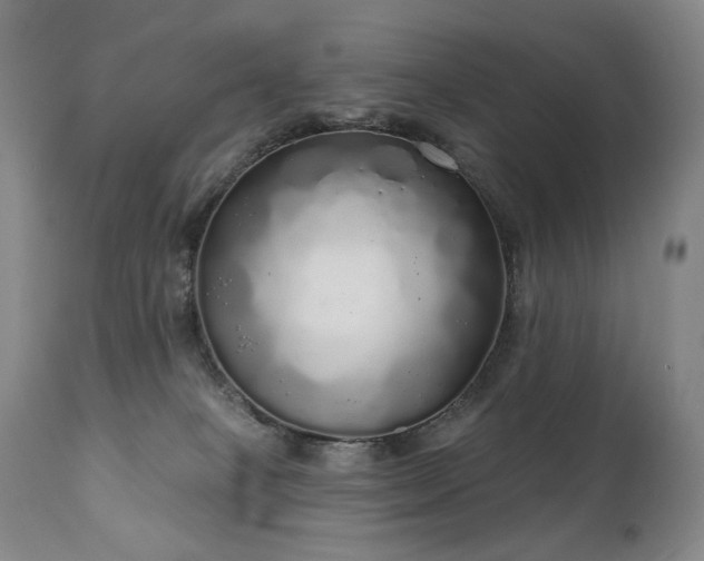 X0000111050085200906251443