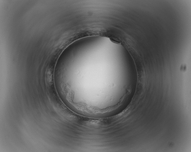 X0000111050086200906251443