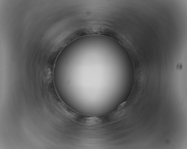 X0000111050087200906251443