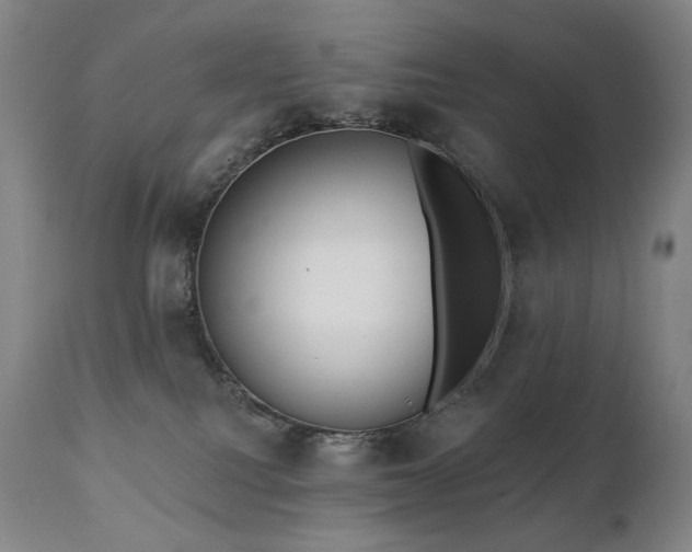 X0000111050088200906251443