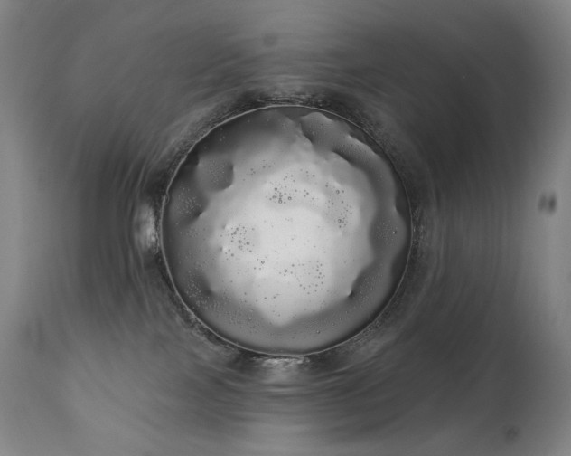 X0000111050089200906251443