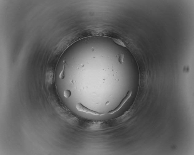 X0000111050090200906251443