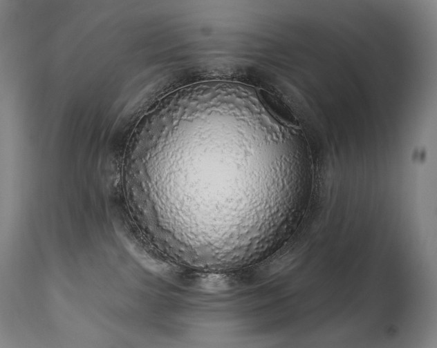 X0000111050091200906251443