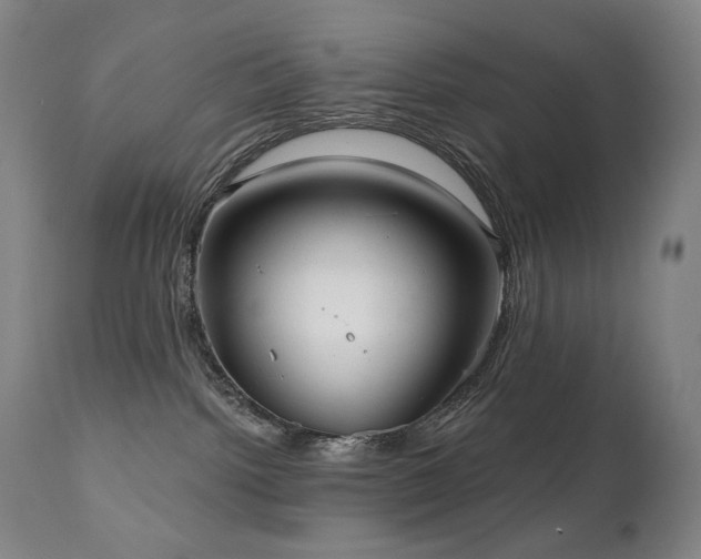 X0000111050092200906251443