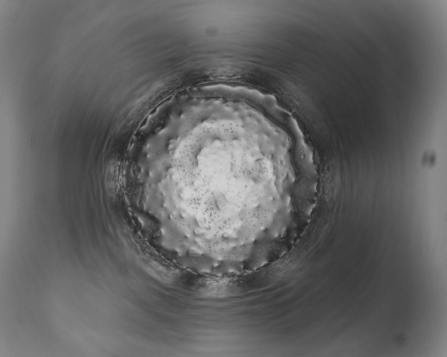 X0000111050093200906251443