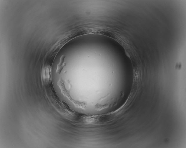 X0000111050094200906251443