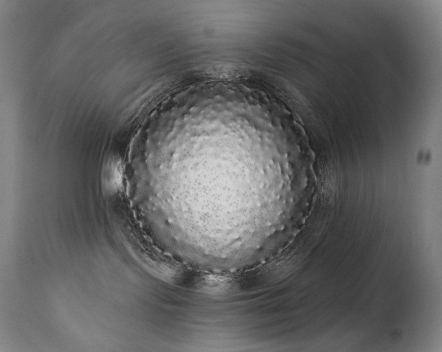 X0000111050095200906251443