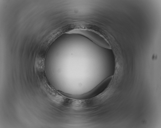 X0000111050096200906251443