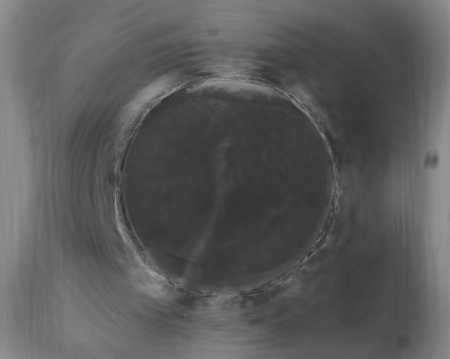 X0000111050097200906251443