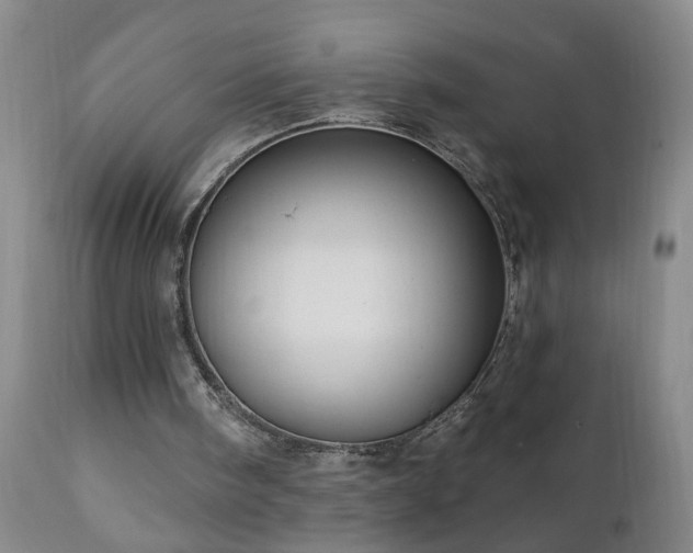 X0000111050098200906251443