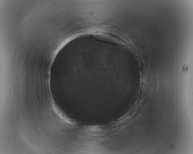 X0000111050100200906251443