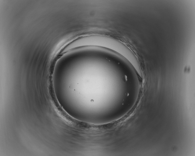 X0000111050101200906251443