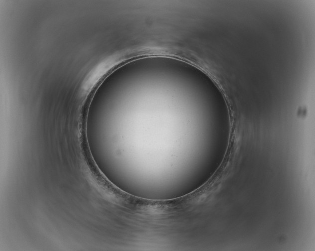 X0000111050103200906251443