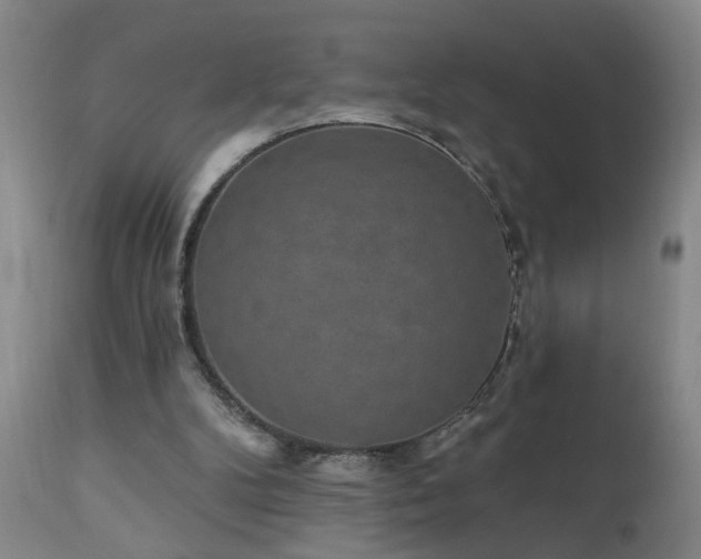 X0000111050104200906251443