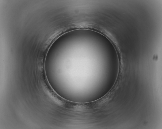 X0000111050105200906251443