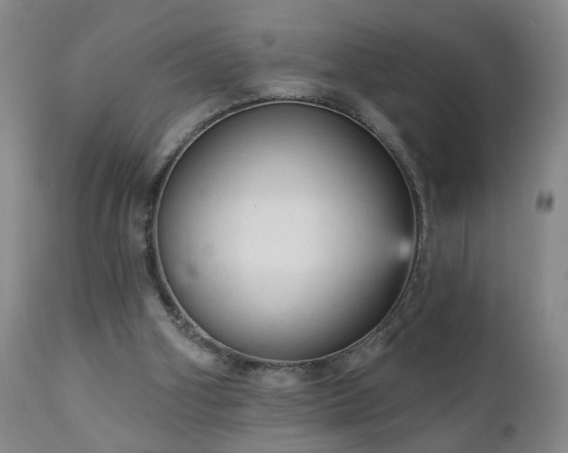 X0000111050106200906251443