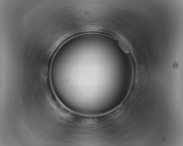 X0000111050107200906251443