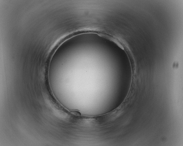 X0000111050108200906251443