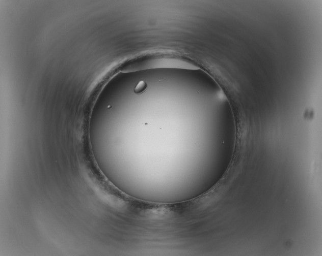 X0000111050112200906251442