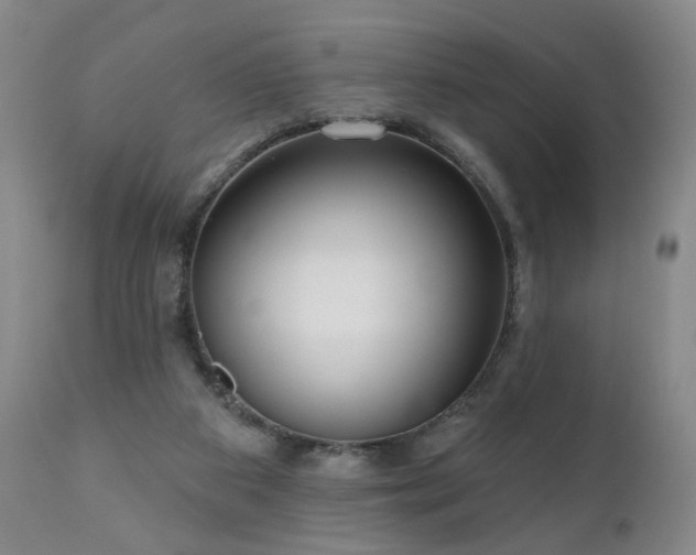 X0000111050113200906251442