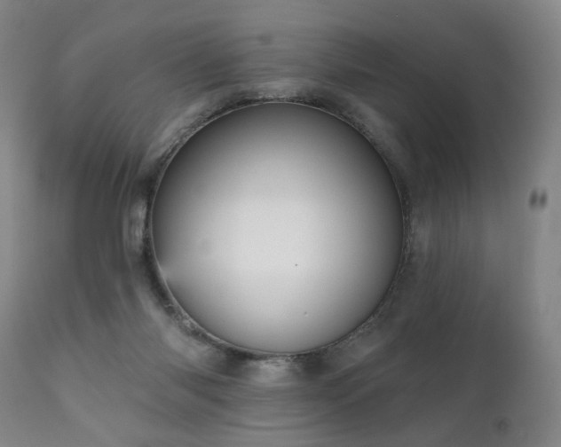 X0000111050118200906251442