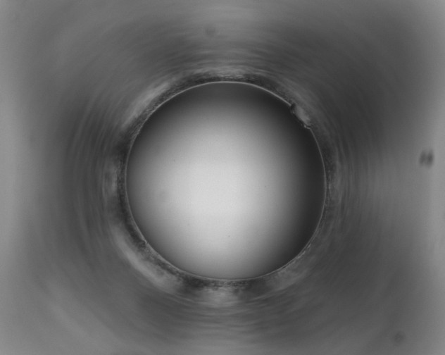 X0000111050120200906251442