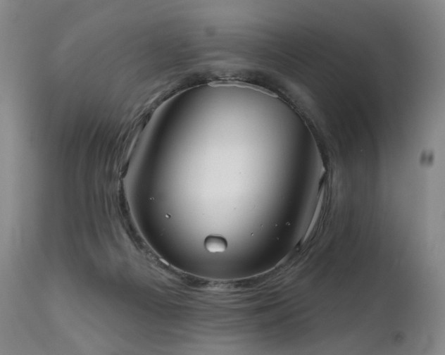 X0000111050121200906251442