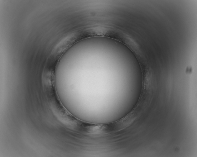 X0000111050122200906251442