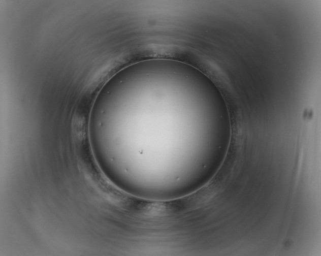 X0000111050123200906251442