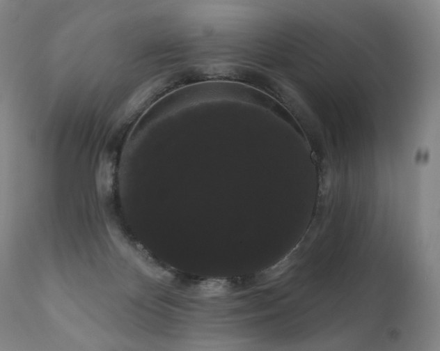 X0000111050124200906251442