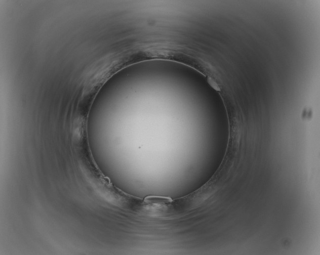 X0000111050125200906251442