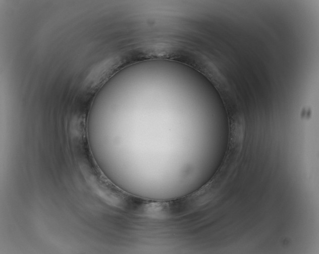 X0000111050126200906251442