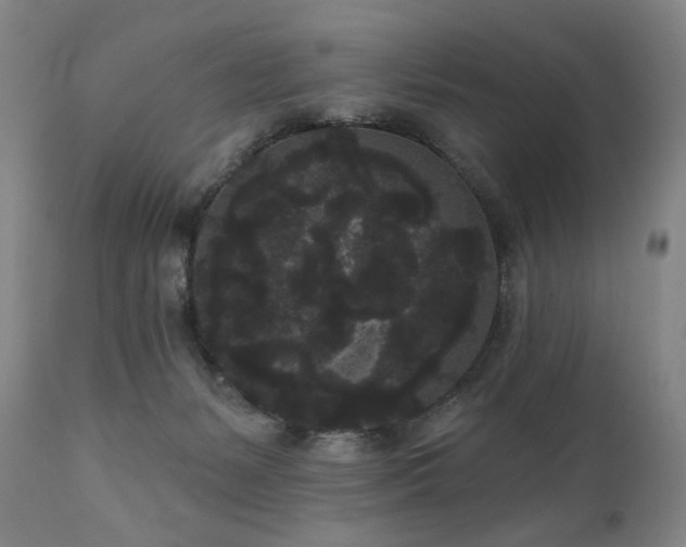 X0000111050127200906251442