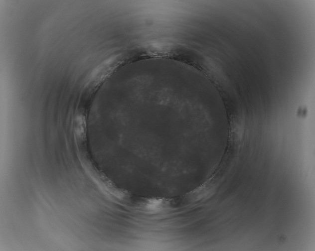 X0000111050130200906251442