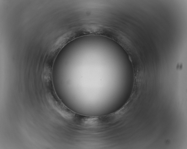 X0000111050132200906251442