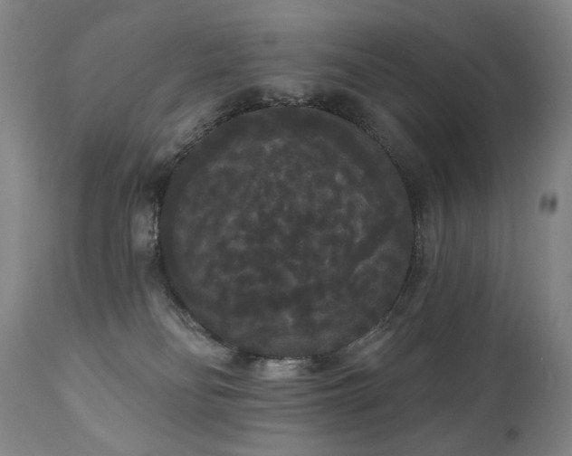 X0000111050134200906251442