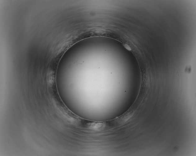 X0000111050135200906251442