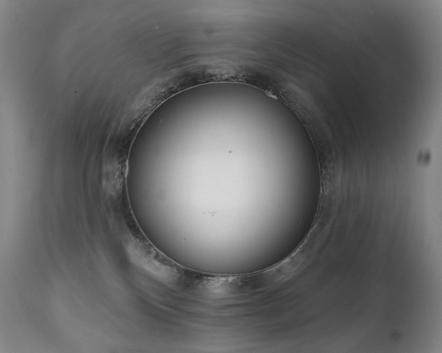 X0000111050136200906251442