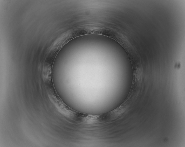 X0000111050138200906251442